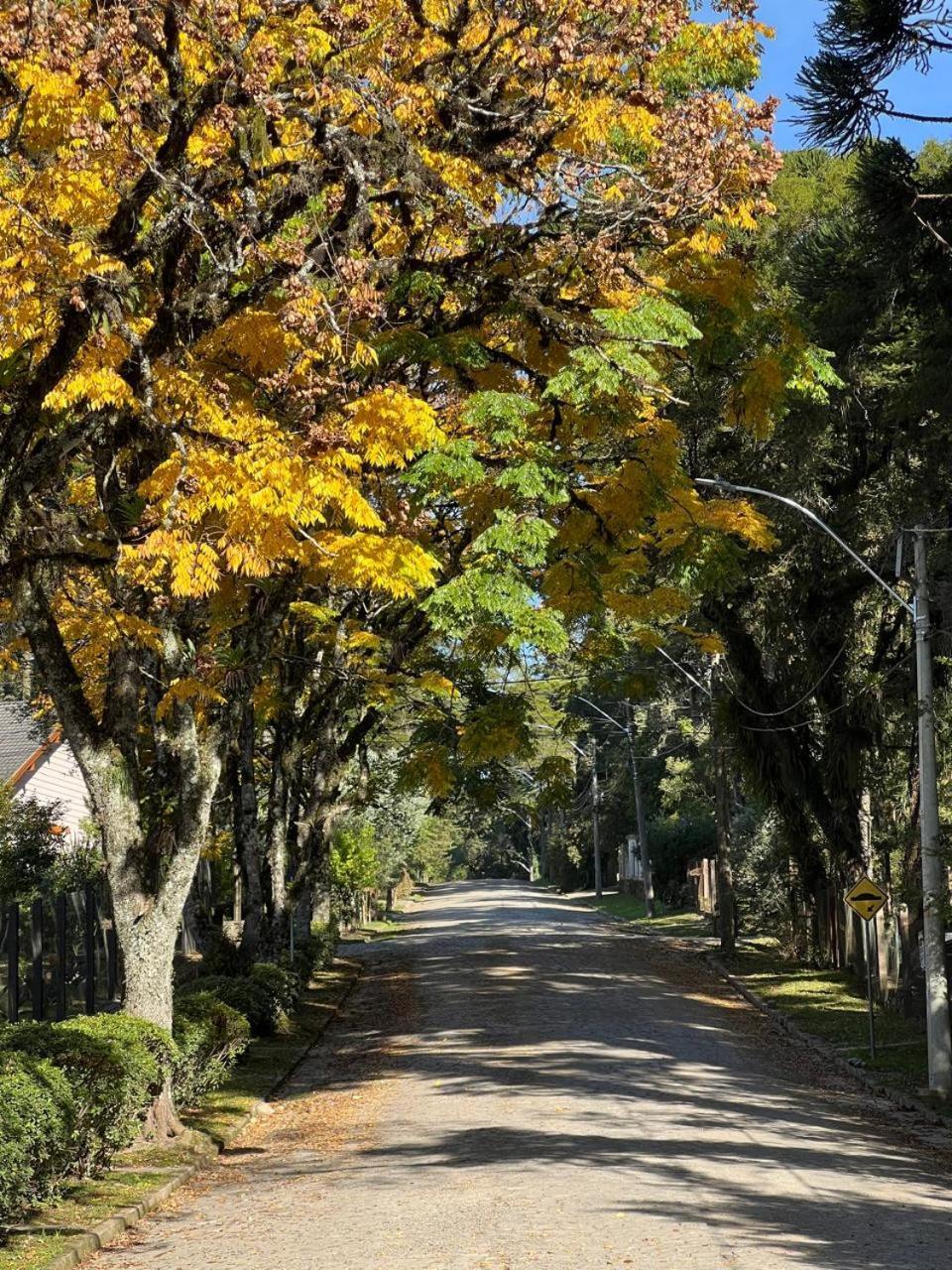 Vila Suzana Parque Hotel カネラ エクステリア 写真